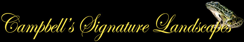 Campbell's Signature Landscapes / Pond  Builder and Landscaping Service / Ponds, pond repair, swimming ponds, sustainable landscapes, rain gardens, water gardens