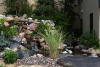 Sustainable Gardens