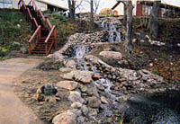 Wetland Systems
