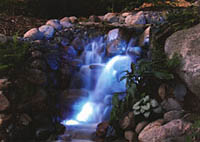 Fiber Optic Lighting