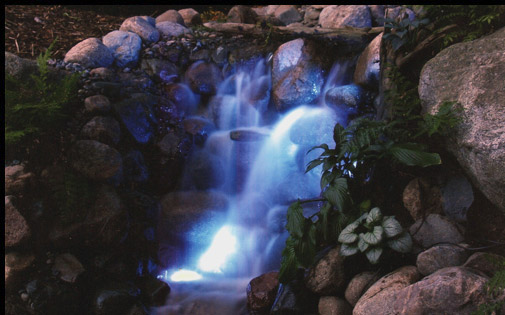 Rain Gardens - Water Gardens